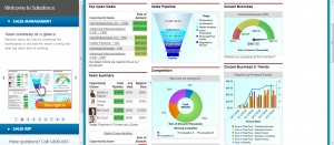 01 CRM Test Drive- Team summary dashboard (1)